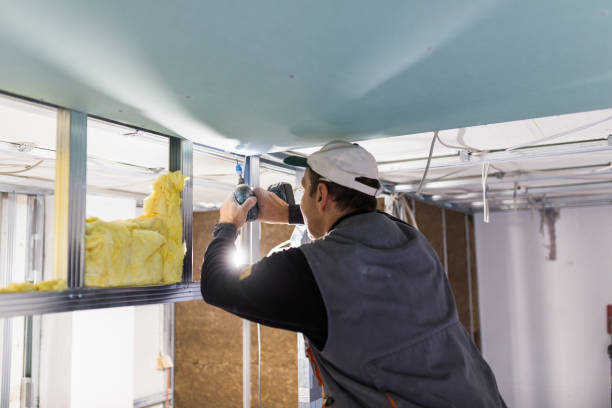 Best Soundproof Insulation Installation  in Keenesburg, CO