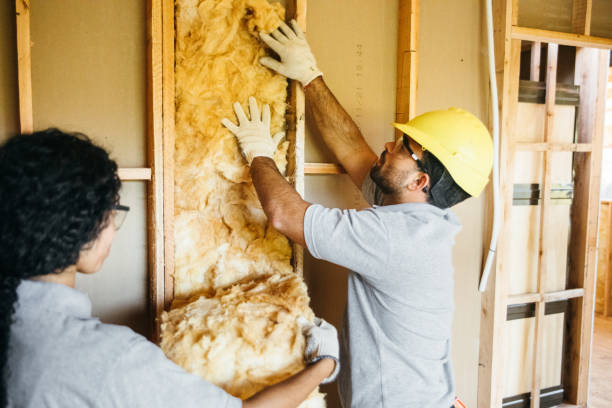 Best Insulation Contractors for Homes  in Keenesburg, CO