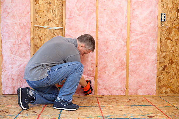 Best Home Insulation Services  in Keenesburg, CO